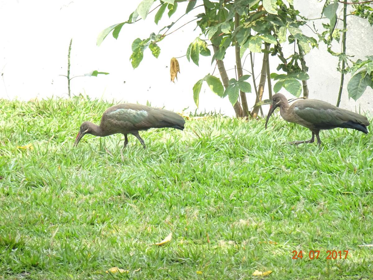 Kivu Beach Garden Гісеньї Екстер'єр фото